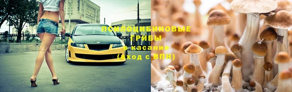 мяу мяу мука Горняк