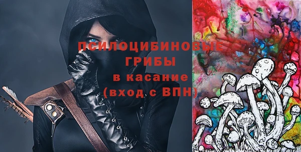 прущая мука Вяземский