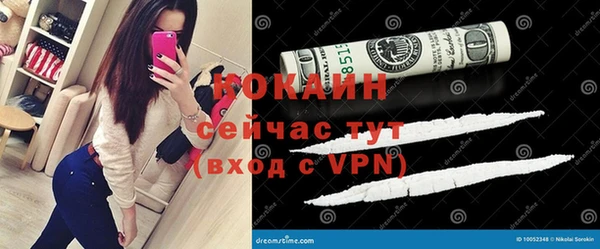 прущая мука Вяземский