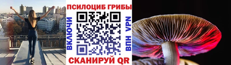 Купить закладки  Полевской  Галлюциногенные грибы Psilocybine cubensis 